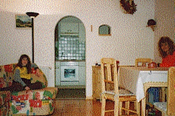 Австрия Privát Schottwien, Экстерьер